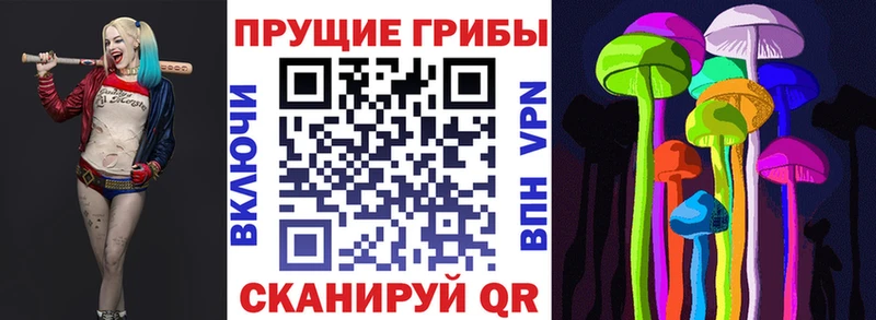 цена   Ильский  Псилоцибиновые грибы Psilocybine cubensis 
